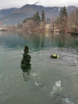 Potop drevesca Foto Som (4)